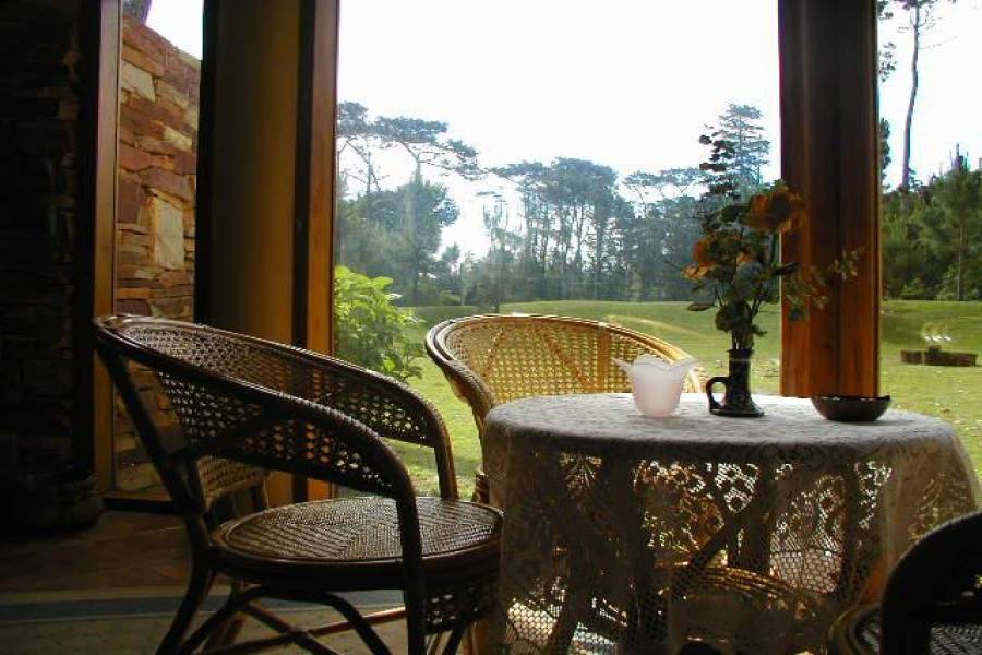 Punta del Este, Maldonado, Uruguay, 4 Bedrooms Bedrooms, ,2 BathroomsBathrooms,Casas,Temporario,41637