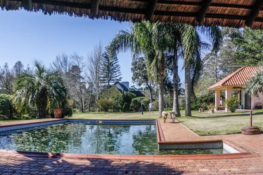 Punta del Este, Maldonado, Uruguay, 4 Bedrooms Bedrooms, ,3 BathroomsBathrooms,Casas,Venta,41648