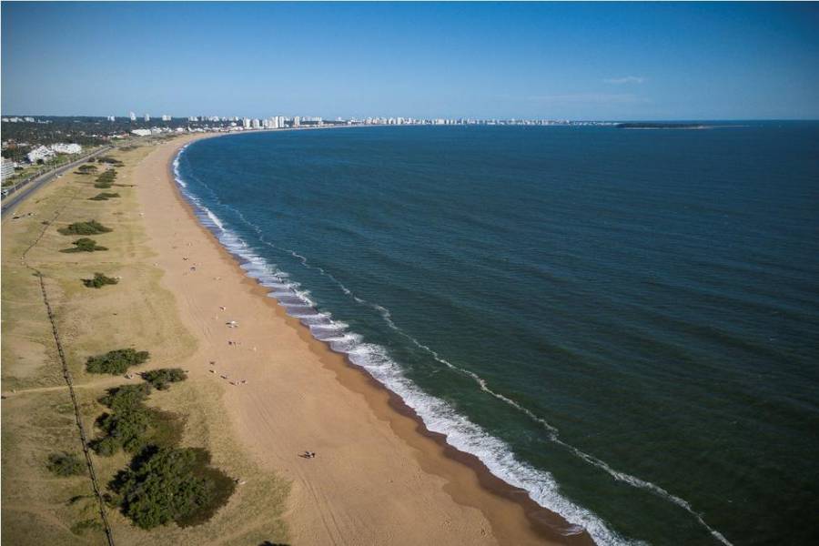 Punta del Este, Maldonado, Uruguay, 4 Bedrooms Bedrooms, ,2 BathroomsBathrooms,Casas,Temporario,41657