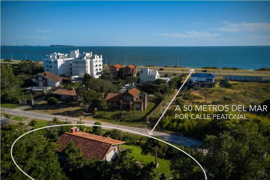Punta del Este, Maldonado, Uruguay, 4 Bedrooms Bedrooms, ,2 BathroomsBathrooms,Casas,Temporario,41657