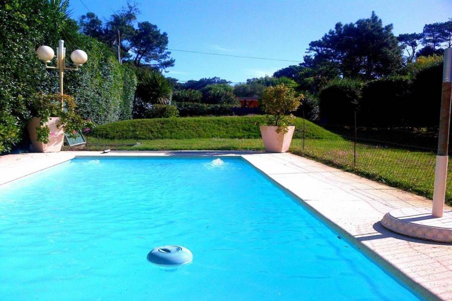 Punta del Este, Maldonado, Uruguay, 2 Bedrooms Bedrooms, ,1 BañoBathrooms,Casas,Temporario,41666