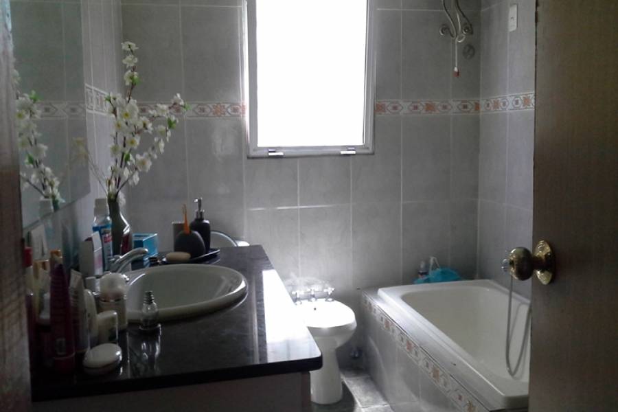 Punta del Este, Maldonado, Uruguay, 3 Bedrooms Bedrooms, ,2 BathroomsBathrooms,Casas,Temporario,41668