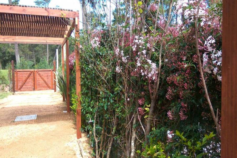 Punta del Este, Maldonado, Uruguay, 3 Bedrooms Bedrooms, ,2 BathroomsBathrooms,Casas,Venta,41702