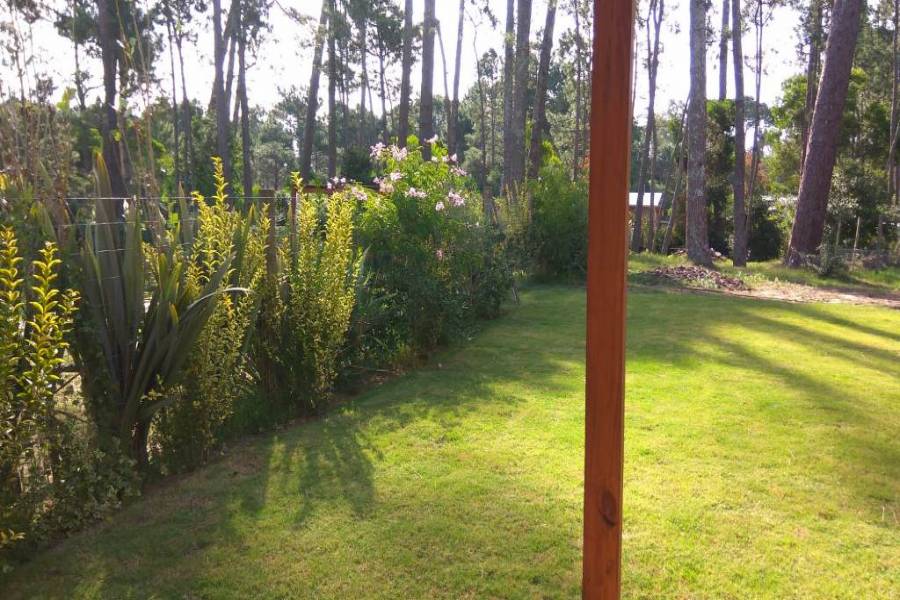 Punta del Este, Maldonado, Uruguay, 3 Bedrooms Bedrooms, ,2 BathroomsBathrooms,Casas,Venta,41702