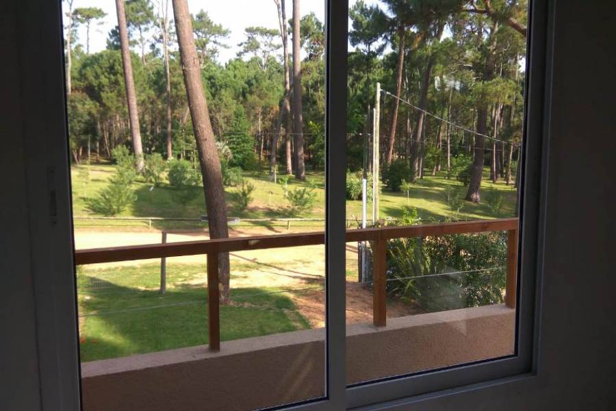 Punta del Este, Maldonado, Uruguay, 3 Bedrooms Bedrooms, ,2 BathroomsBathrooms,Casas,Venta,41702
