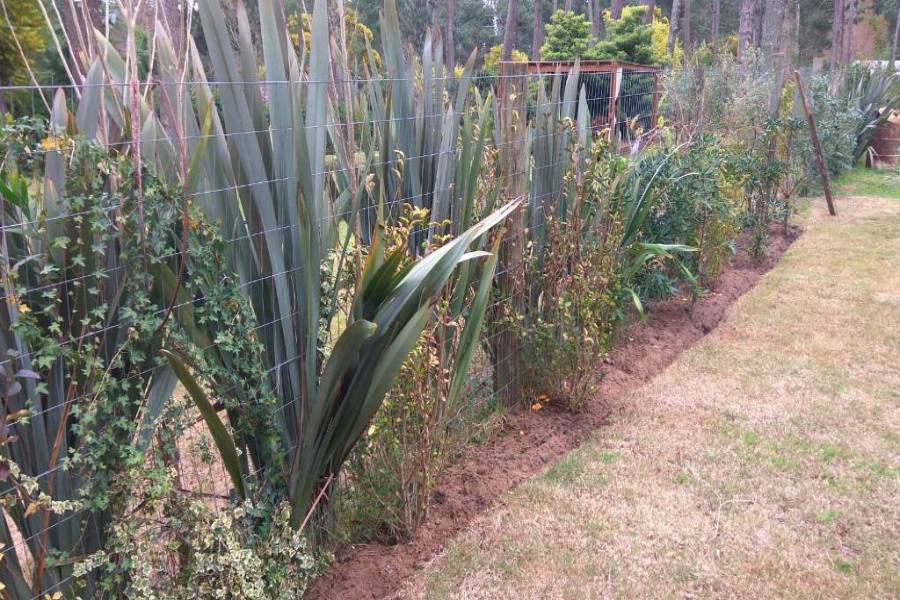 Punta del Este, Maldonado, Uruguay, 3 Bedrooms Bedrooms, ,2 BathroomsBathrooms,Casas,Venta,41702