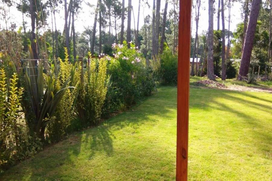 Punta del Este, Maldonado, Uruguay, 3 Bedrooms Bedrooms, ,2 BathroomsBathrooms,Casas,Venta,41702