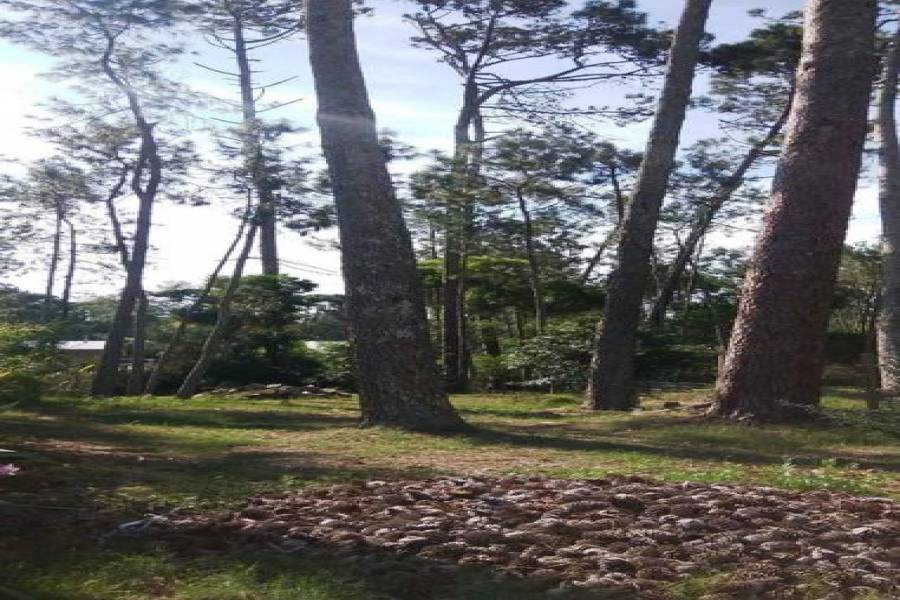 Punta del Este, Maldonado, Uruguay, 3 Bedrooms Bedrooms, ,2 BathroomsBathrooms,Casas,Venta,41702