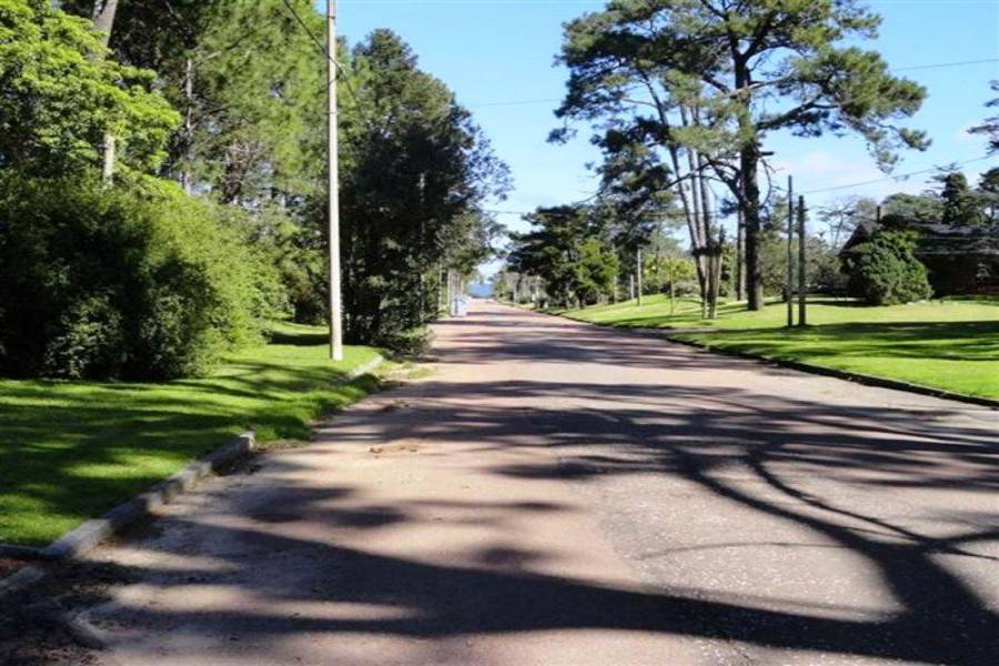 Punta del Este, Maldonado, Uruguay, 4 Bedrooms Bedrooms, ,5 BathroomsBathrooms,Casas,Temporario,41703