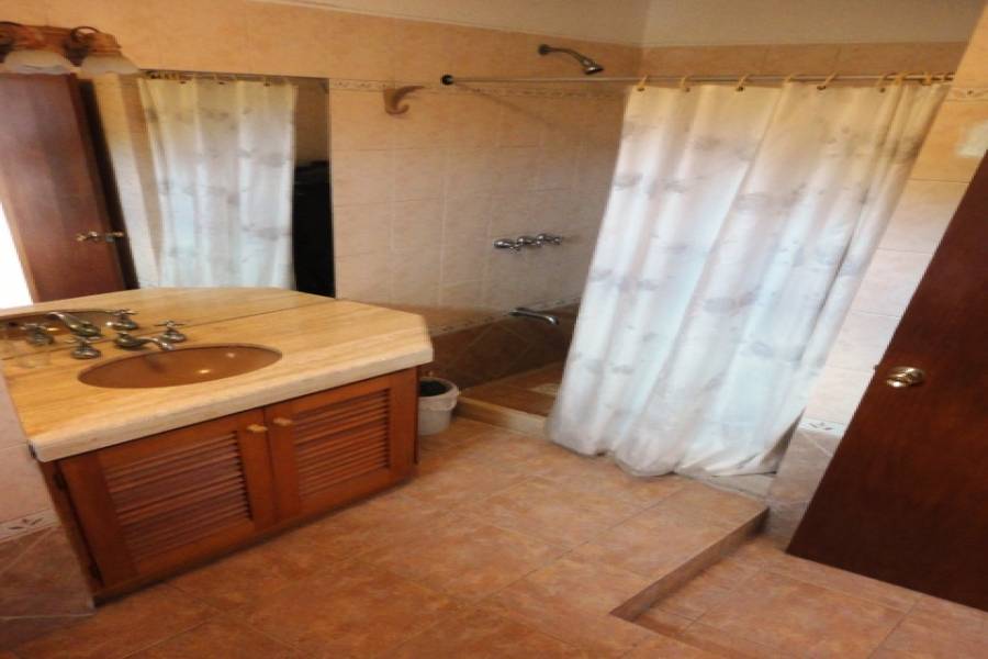 Punta del Este, Maldonado, Uruguay, 4 Bedrooms Bedrooms, ,3 BathroomsBathrooms,Casas,Temporario,41718