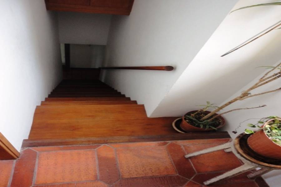 Punta del Este, Maldonado, Uruguay, 4 Bedrooms Bedrooms, ,3 BathroomsBathrooms,Casas,Temporario,41718