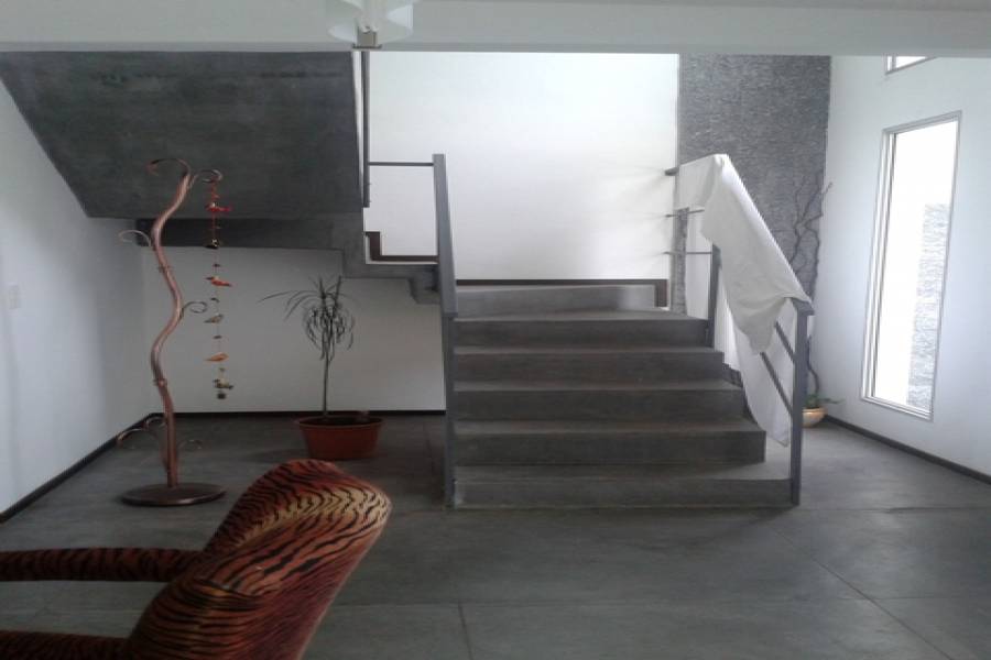 Punta del Este, Maldonado, Uruguay, 3 Bedrooms Bedrooms, ,3 BathroomsBathrooms,Casas,Temporario,41732