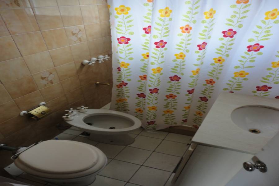 Punta del Este, Maldonado, Uruguay, 4 Bedrooms Bedrooms, ,3 BathroomsBathrooms,Casas,Temporario,41733