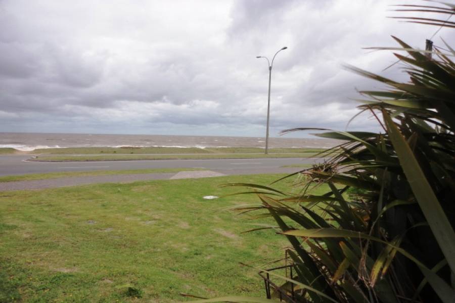 Punta del Este, Maldonado, Uruguay, 4 Bedrooms Bedrooms, ,3 BathroomsBathrooms,Casas,Temporario,41733