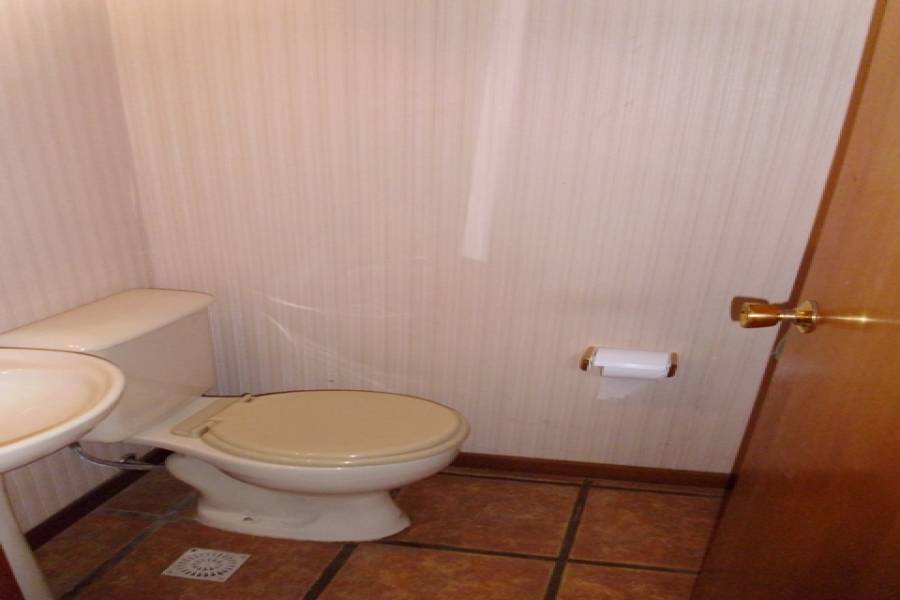 Punta del Este, Maldonado, Uruguay, 3 Bedrooms Bedrooms, ,2 BathroomsBathrooms,Casas,Temporario,41740