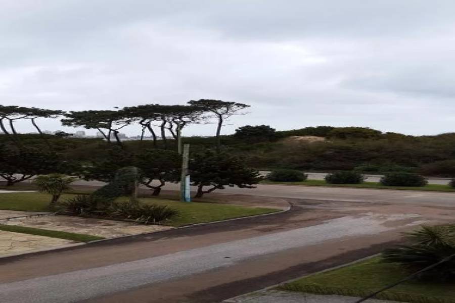 Punta del Este, Maldonado, Uruguay, 1 Dormitorio Bedrooms, ,1 BañoBathrooms,Apartamentos,Venta,41751