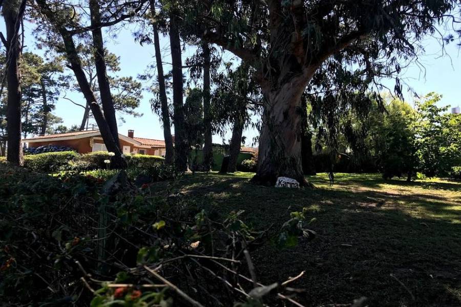 Punta del Este, Maldonado, Uruguay, 2 Bedrooms Bedrooms, ,1 BañoBathrooms,Casas,Venta,41776