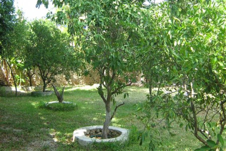 Merida, Yucatán, Mexico, 3 Bedrooms Bedrooms, ,3 BathroomsBathrooms,Casas,Temporario,15 Cholul,41796