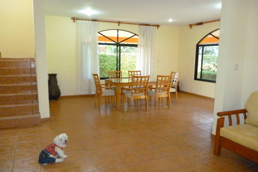 Merida, Yucatán, Mexico, 3 Bedrooms Bedrooms, ,3 BathroomsBathrooms,Casas,Temporario,15 Cholul,41796