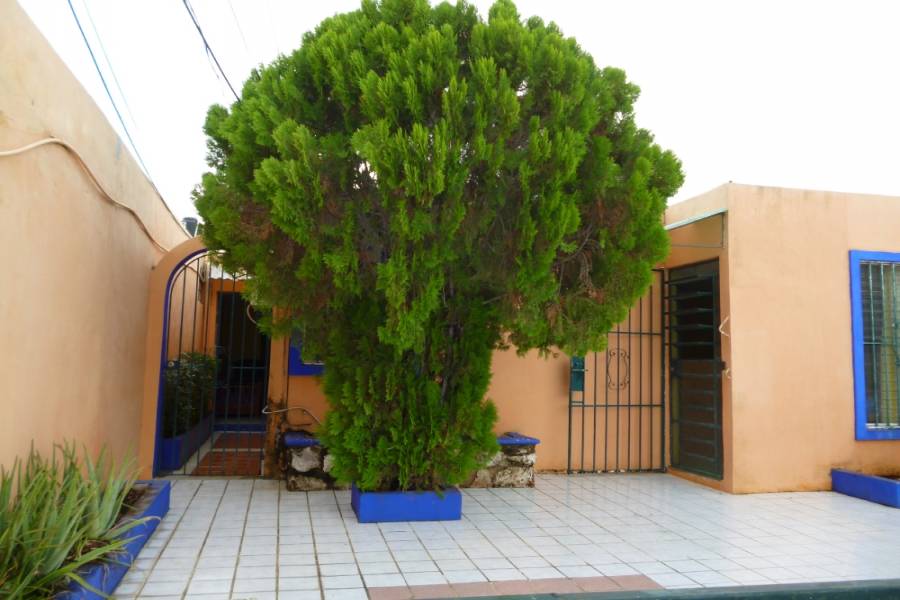 Merida, Yucatán, Mexico, 1 Dormitorio Bedrooms, ,1 BañoBathrooms,Casas,Alquiler-Arriendo,25A Jardines de Pensiones,41798