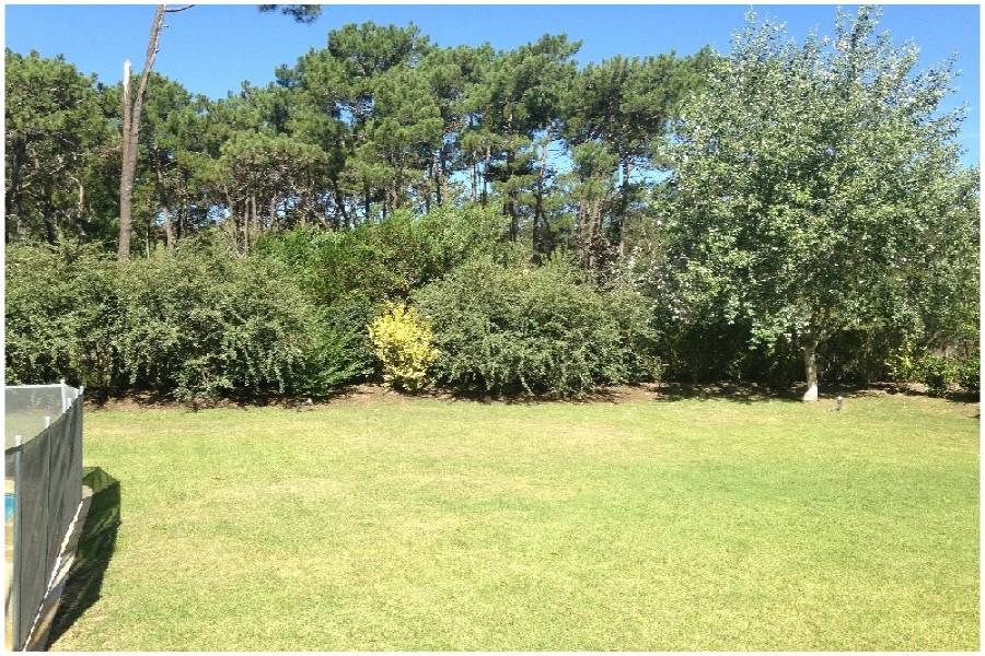 Punta del Este, Maldonado, Uruguay, 3 Bedrooms Bedrooms, ,2 BathroomsBathrooms,Casas,Venta,41837