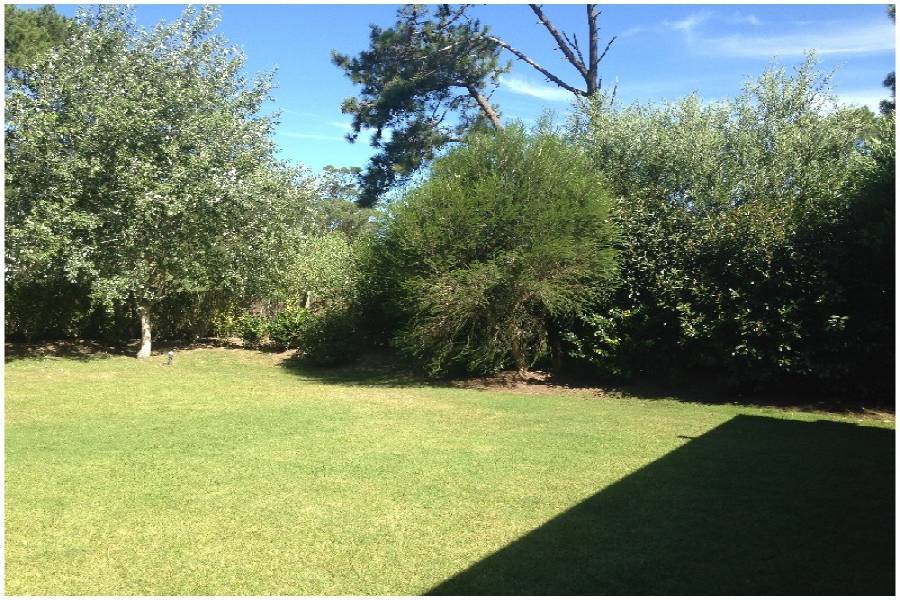 Punta del Este, Maldonado, Uruguay, 3 Bedrooms Bedrooms, ,2 BathroomsBathrooms,Casas,Venta,41837