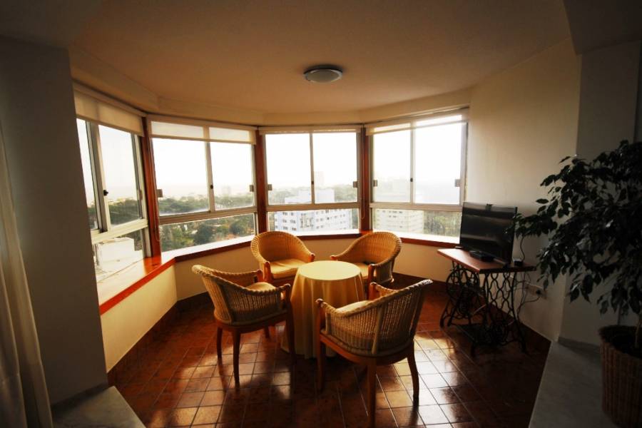 Punta del Este, Maldonado, Uruguay, 3 Bedrooms Bedrooms, ,2 BathroomsBathrooms,Apartamentos,Venta,41858