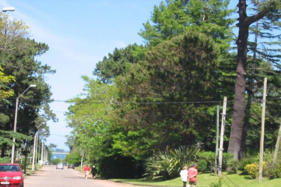 Punta del Este, Maldonado, Uruguay, 1 Dormitorio Bedrooms, ,1 BañoBathrooms,Casas,Venta,41862