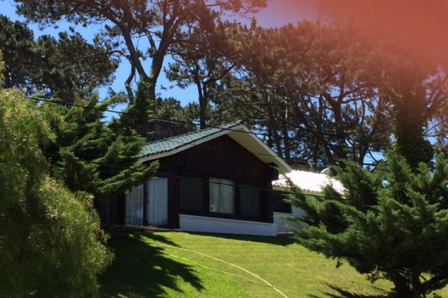 Punta del Este, Maldonado, Uruguay, 1 Dormitorio Bedrooms, ,1 BañoBathrooms,Casas,Venta,41862