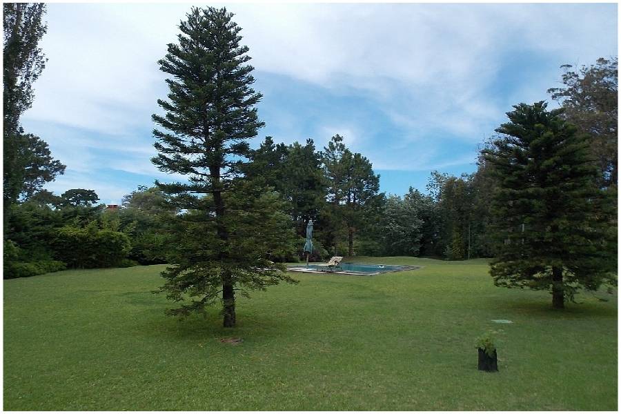 Punta del Este, Maldonado, Uruguay, 4 Bedrooms Bedrooms, ,3 BathroomsBathrooms,Casas,Venta,41877