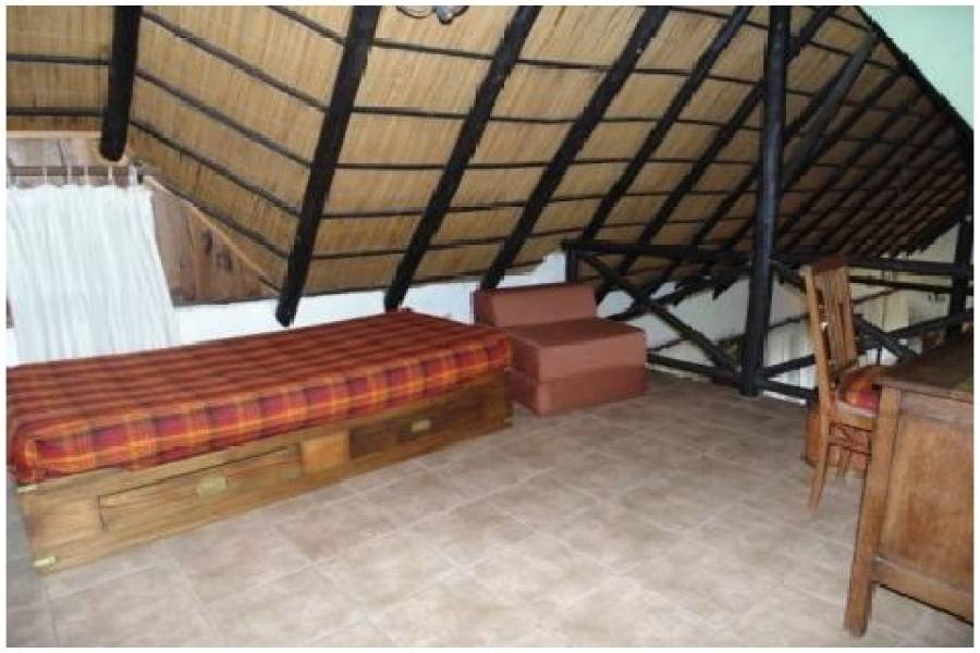 Punta del Este, Maldonado, Uruguay, 4 Bedrooms Bedrooms, ,3 BathroomsBathrooms,Casas,Venta,41891