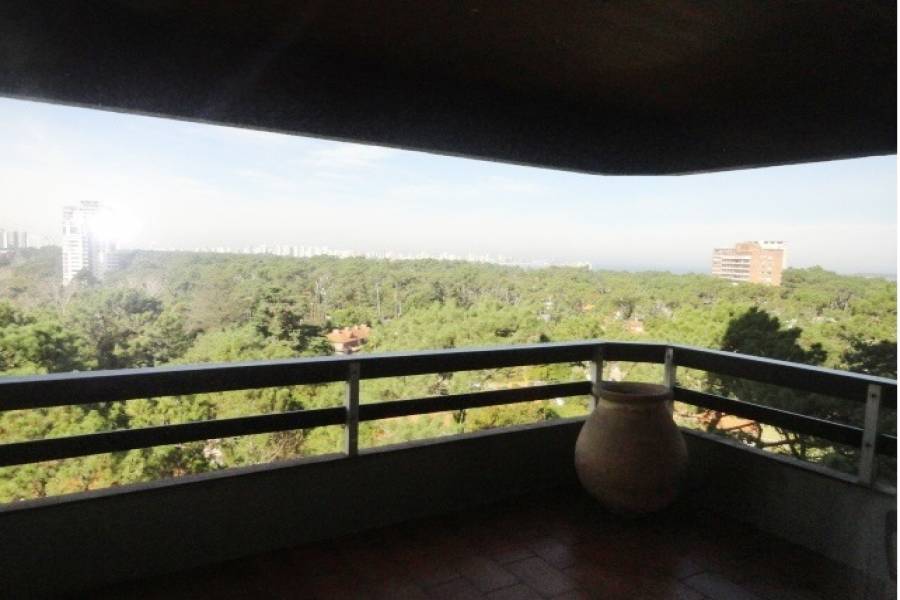 Punta del Este, Maldonado, Uruguay, 2 Bedrooms Bedrooms, ,2 BathroomsBathrooms,Apartamentos,Venta,41893
