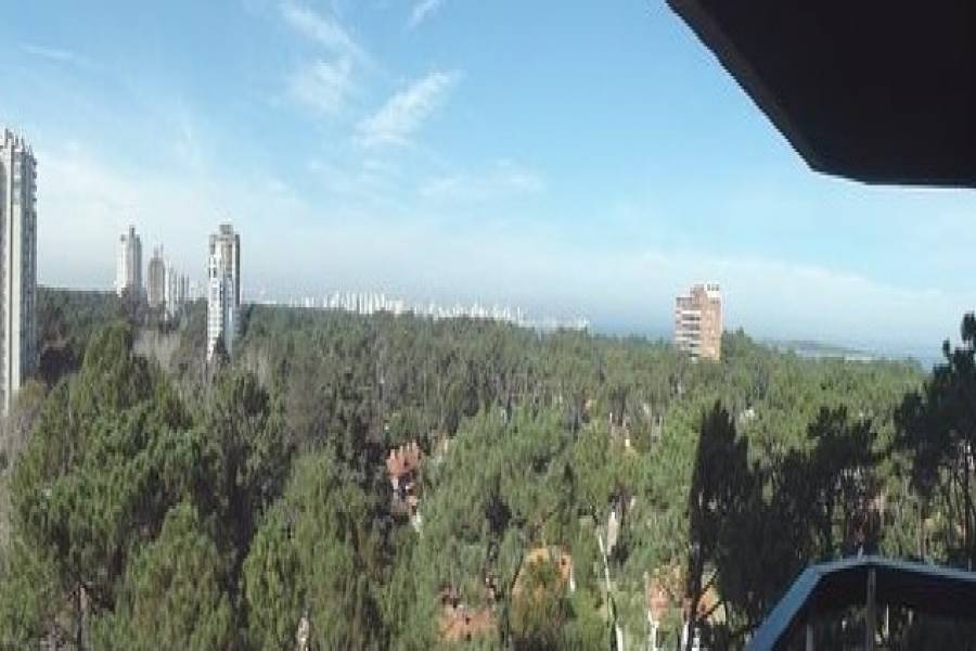 Punta del Este, Maldonado, Uruguay, 2 Bedrooms Bedrooms, ,2 BathroomsBathrooms,Apartamentos,Venta,41893