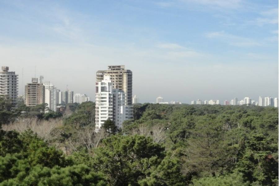 Punta del Este, Maldonado, Uruguay, 2 Bedrooms Bedrooms, ,2 BathroomsBathrooms,Apartamentos,Venta,41893