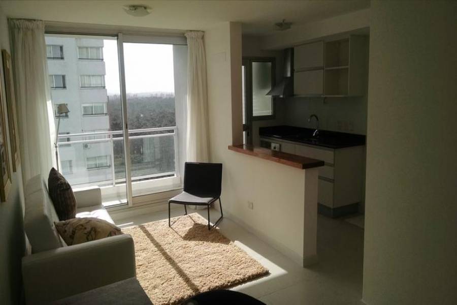 Punta del Este, Maldonado, Uruguay, 1 Dormitorio Bedrooms, ,1 BañoBathrooms,Apartamentos,Venta,41909
