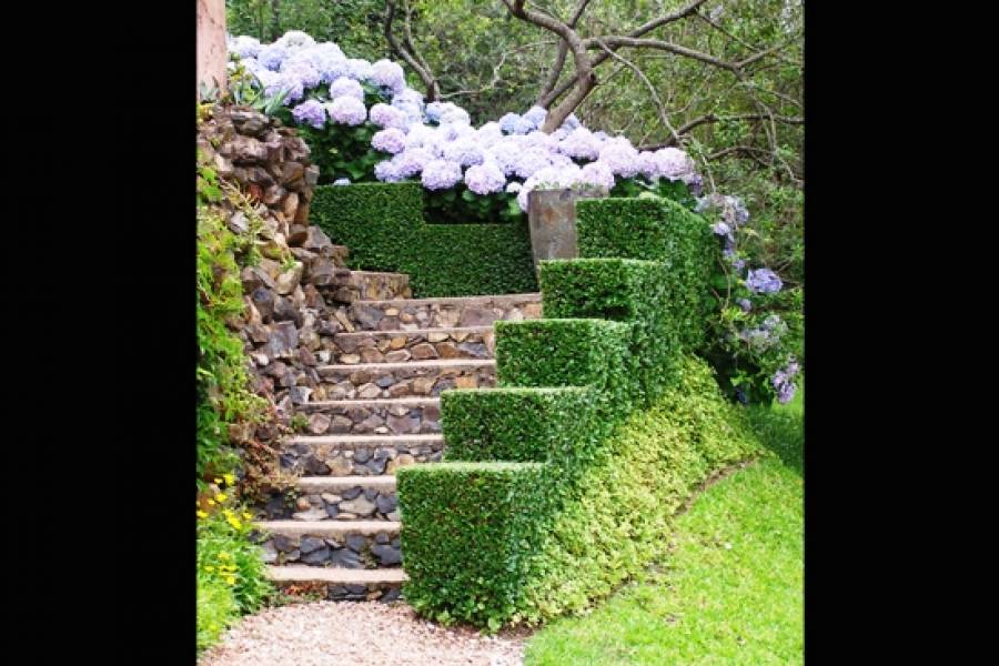 Punta del Este, Maldonado, Uruguay, 4 Bedrooms Bedrooms, ,4 BathroomsBathrooms,Casas,Venta,41934