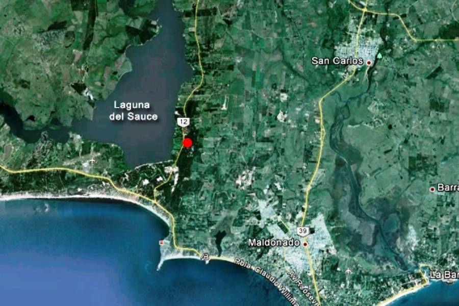 Punta del Este, Maldonado, Uruguay, 4 Bedrooms Bedrooms, ,4 BathroomsBathrooms,Casas,Venta,41934