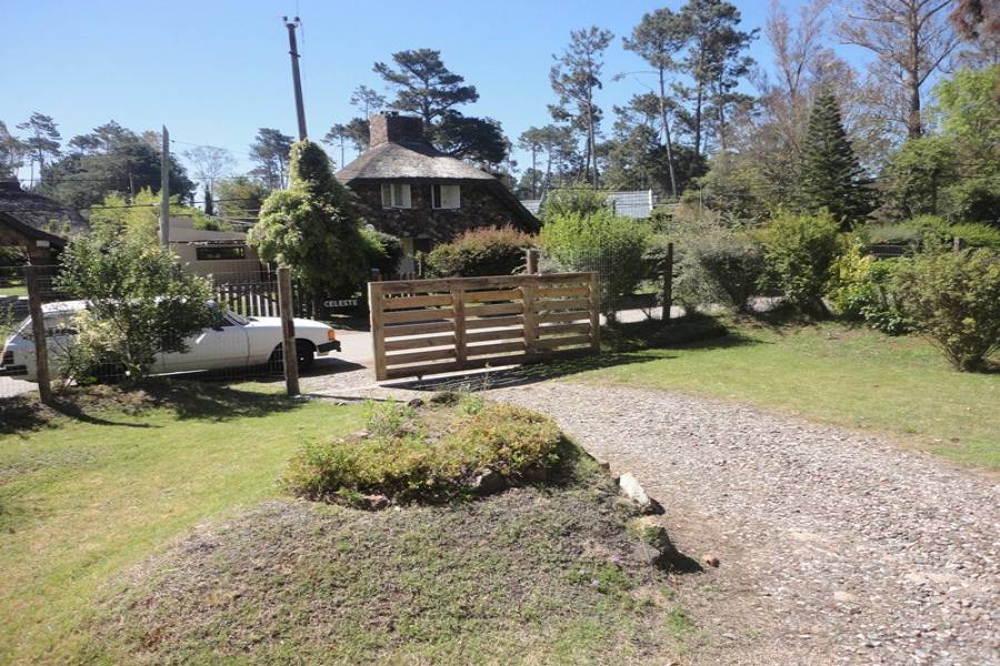 Punta del Este, Maldonado, Uruguay, 3 Bedrooms Bedrooms, ,2 BathroomsBathrooms,Apartamentos,Venta,41935