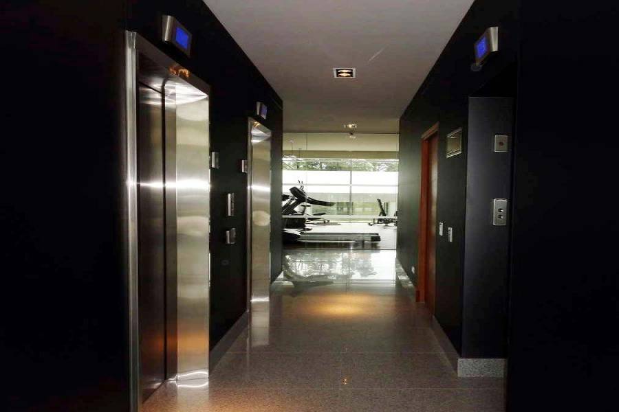 Punta del Este, Maldonado, Uruguay, 2 Bedrooms Bedrooms, ,1 BañoBathrooms,Casas,Venta,41963