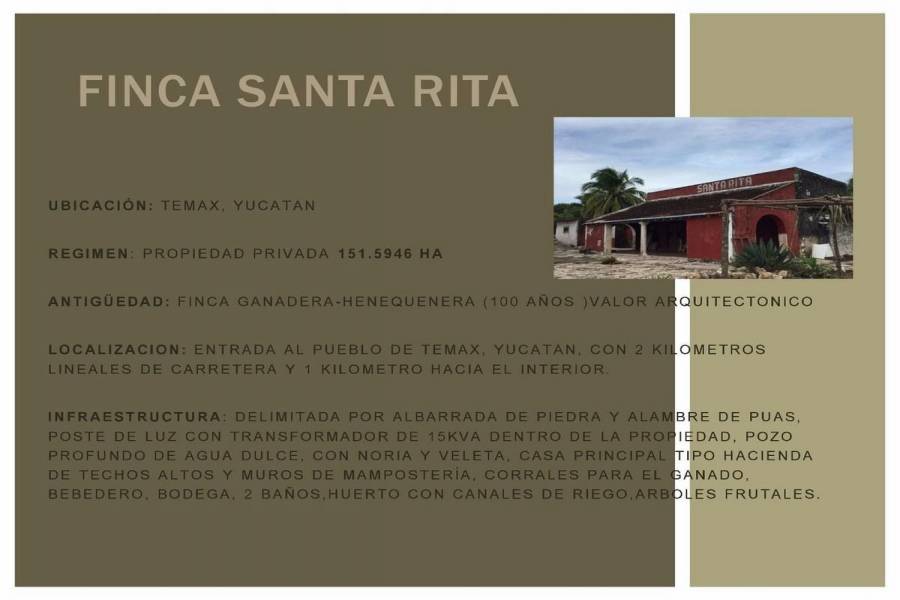 Temax,Yucatán,Mexico,2 Bedrooms Bedrooms,1 BañoBathrooms,Fincas-Villas,4646