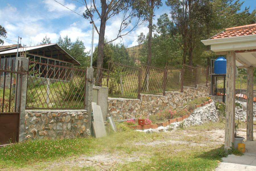 Paute, AZUAY, Ecuador, 4 Bedrooms Bedrooms, ,4 BathroomsBathrooms,Fincas-Villas,Venta,1,42002