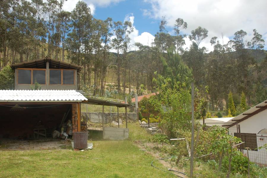 Paute, AZUAY, Ecuador, 4 Bedrooms Bedrooms, ,4 BathroomsBathrooms,Fincas-Villas,Venta,1,42002