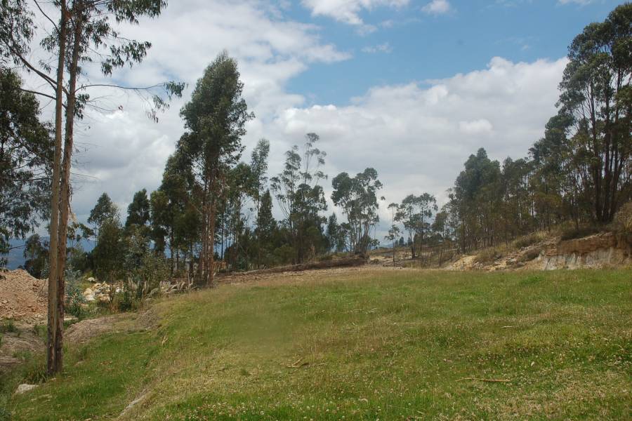 Cuenca, AZUAY, Ecuador, ,Lotes-Terrenos,Venta,1,42003