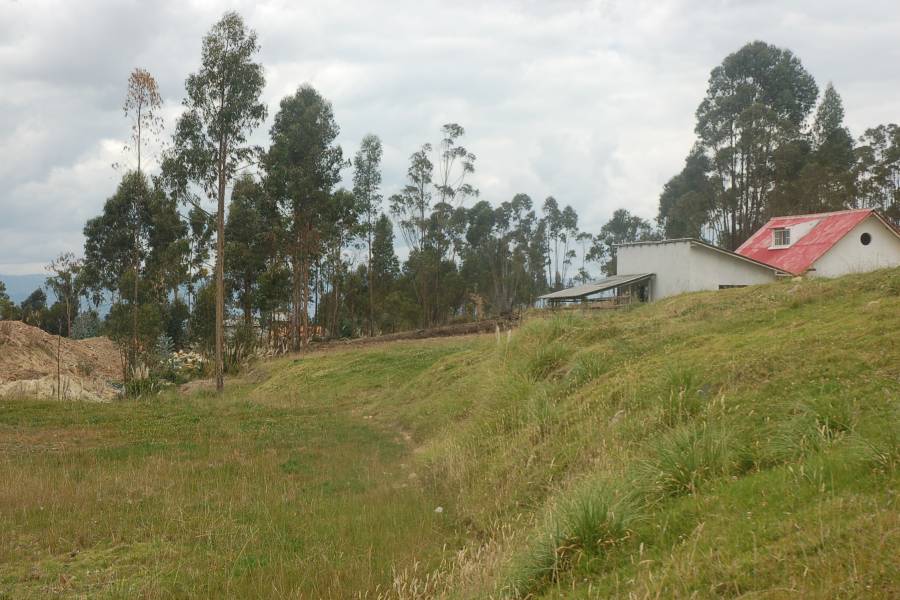 Cuenca, AZUAY, Ecuador, ,Lotes-Terrenos,Venta,1,42003