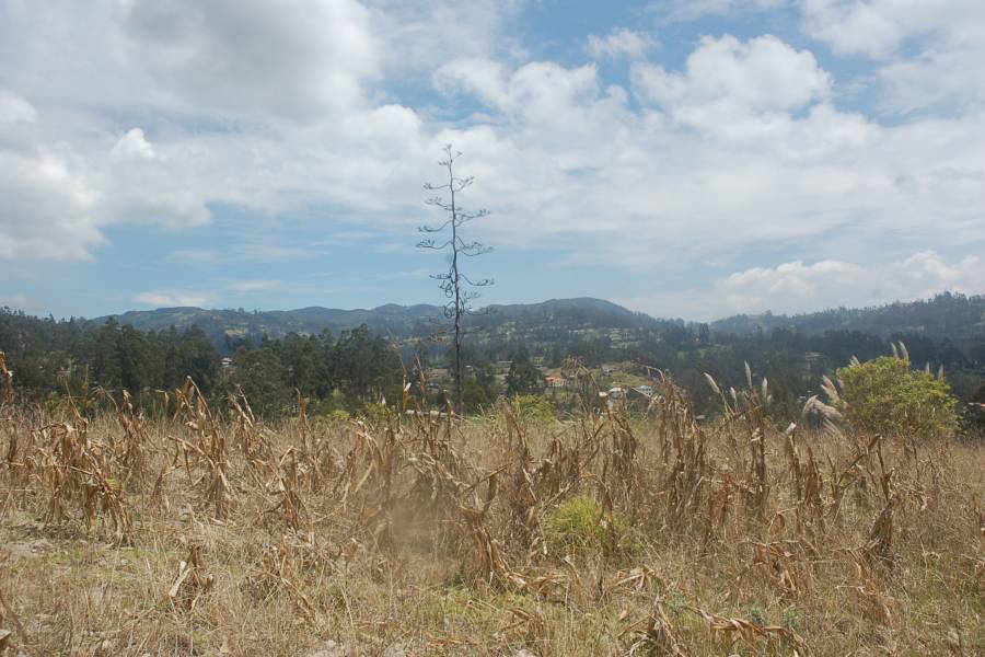 Deleg, CAÑAR, Ecuador, ,Lotes-Terrenos,Venta,1,42006