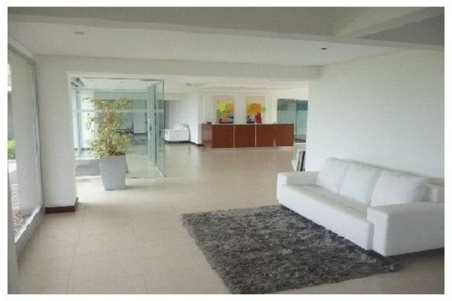 Punta del Este, Maldonado, Uruguay, 4 Bedrooms Bedrooms, ,5 BathroomsBathrooms,Apartamentos,Venta,42046