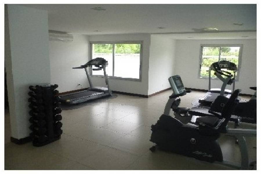 Punta del Este, Maldonado, Uruguay, 4 Bedrooms Bedrooms, ,5 BathroomsBathrooms,Apartamentos,Venta,42046