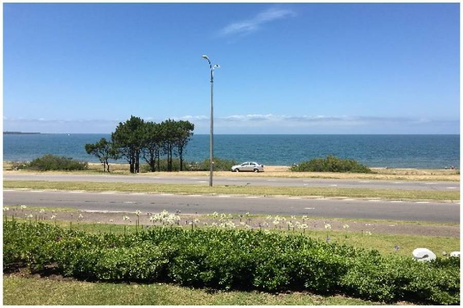 Punta del Este, Maldonado, Uruguay, 2 Bedrooms Bedrooms, ,2 BathroomsBathrooms,Apartamentos,Venta,42048