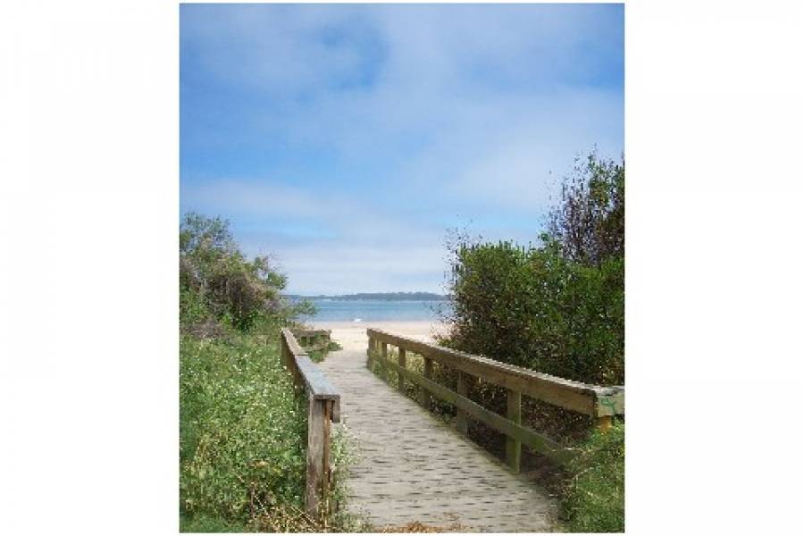 Punta del Este, Maldonado, Uruguay, 1 Dormitorio Bedrooms, ,1 BañoBathrooms,Apartamentos,Venta,42086