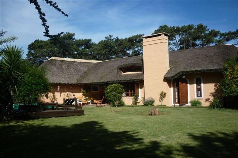 Punta del Este, Maldonado, Uruguay, 4 Bedrooms Bedrooms, ,3 BathroomsBathrooms,Apartamentos,Venta,42102